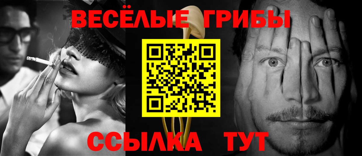 Псилоцибиновые грибы MAGIC MUSHROOMS  Вход с VPN  Ставрополь 